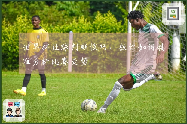 世界杯让球判断技巧，教你如何精准分析比赛走势