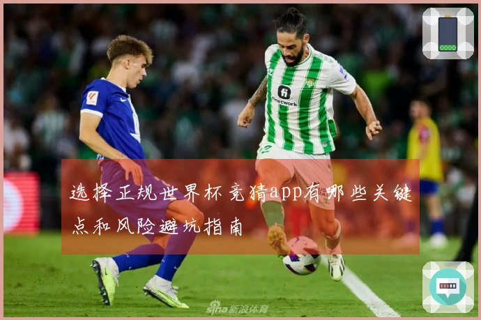 选择正规世界杯竞猜app有哪些关键点和风险避坑指南