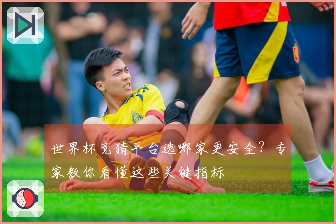 世界杯竞猜平台选哪家更安全？专家教你看懂这些关键指标