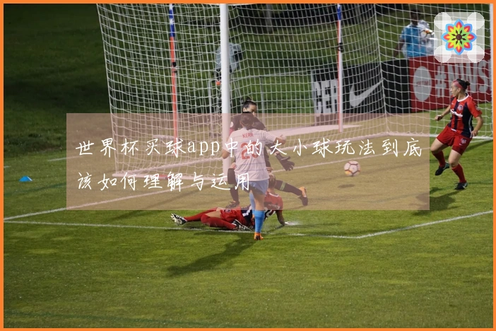 世界杯买球app中的大小球玩法到底该如何理解与运用