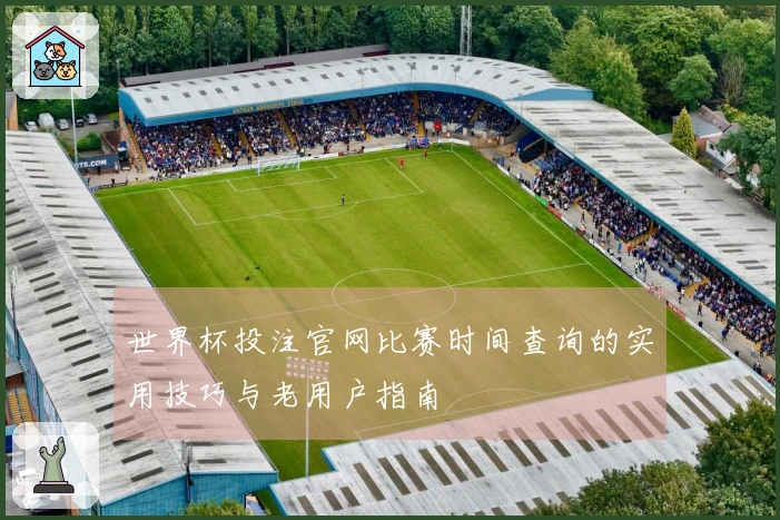 世界杯投注官网比赛时间查询的实用技巧与老用户指南