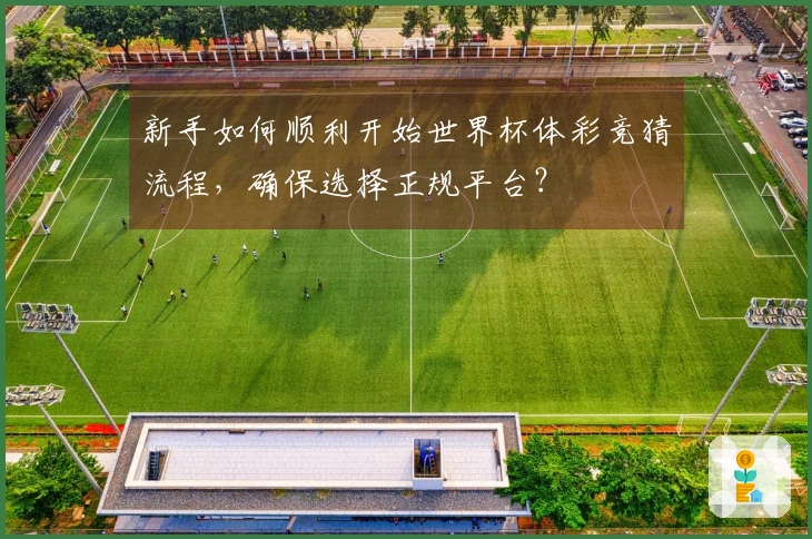 新手如何顺利开始世界杯体彩竞猜流程，确保选择正规平台？
